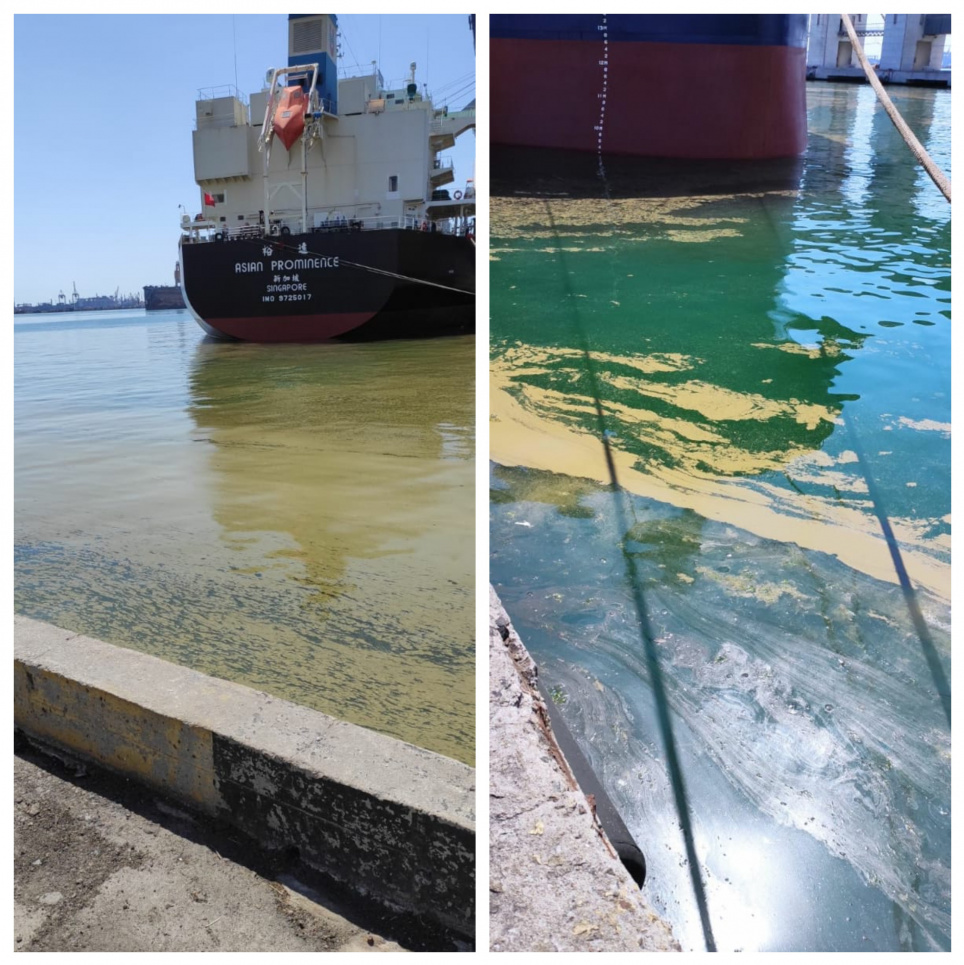 Стала відома причина позеленіння Чорного моря