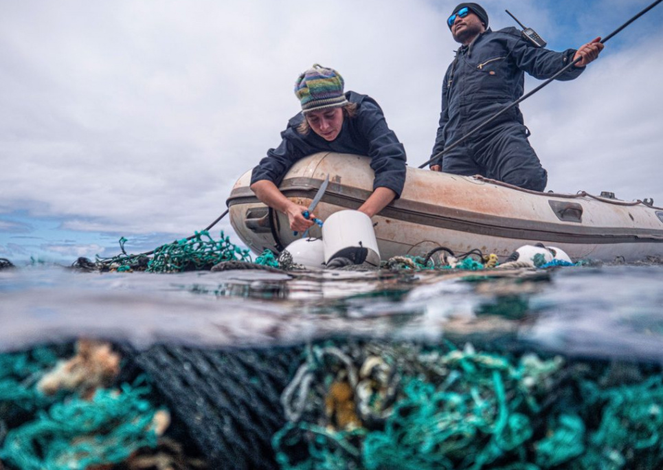 Фото: Ocean Voyages Institute