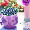 Image by Jill Wellington from Pixabay 