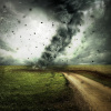 Image by Comfreak from Pixabay 