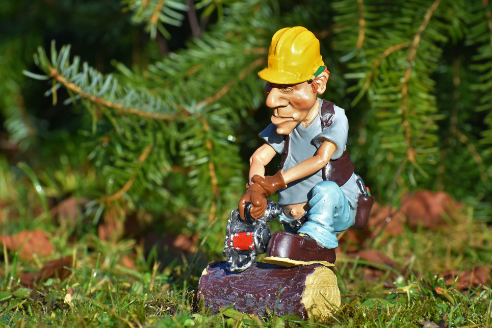 Як розрулити бардак у лісі: Уряд не може – ЄС допоможе? Pixabay