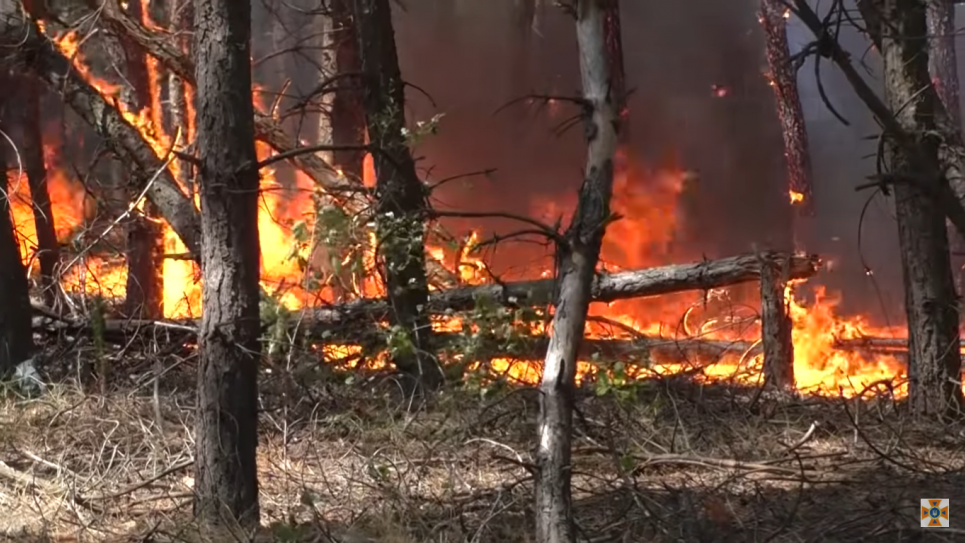 Луганщина палатиме, поки все не згорить або не піде дощ (фото, відео) Горить ліс на Луганщині. Стоп-кадр з відео ДСНС