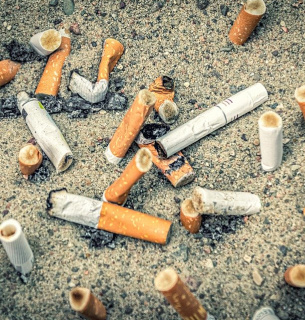 Викинутий недопалок може коштувати 2,5 тисячі гривень pixabay