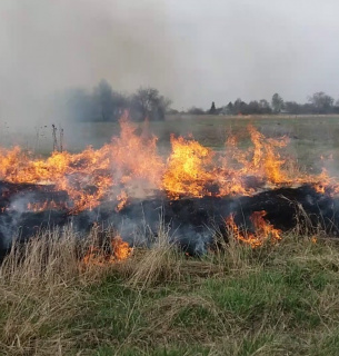 На Харківщині згоріла пенсіонерка спалюючи траву
