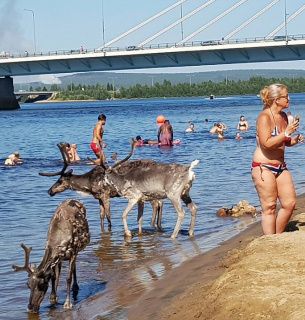 На вихідних повернеться спека, а захід країни заллє та "заморозить" Фото - orTabaTumi