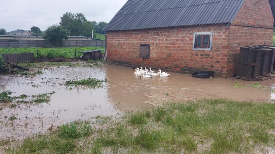 На Рівненщині негода підтопила будинки та повалила дерева на оселі (фото)