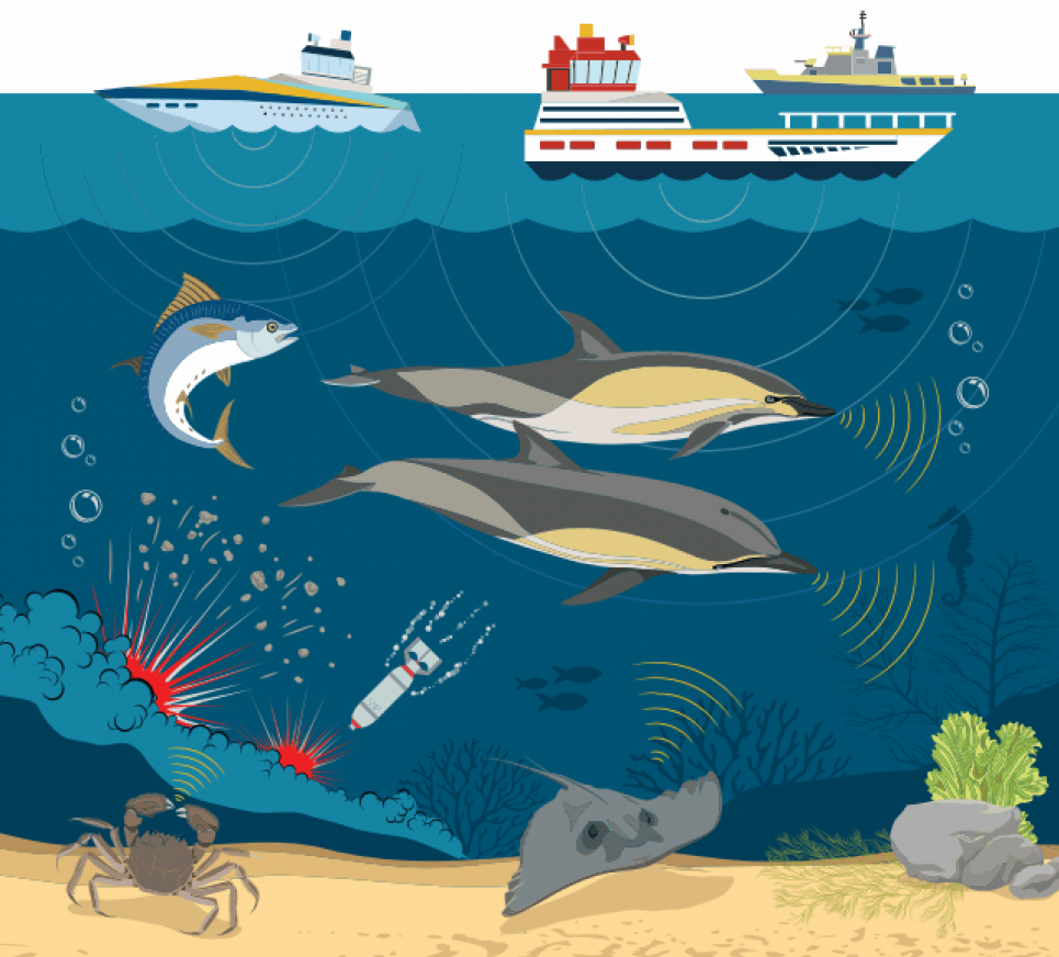 В Одесі видадуть книгу про секрети Чорного моря Усі зображення в новині - ілюстрації до книги