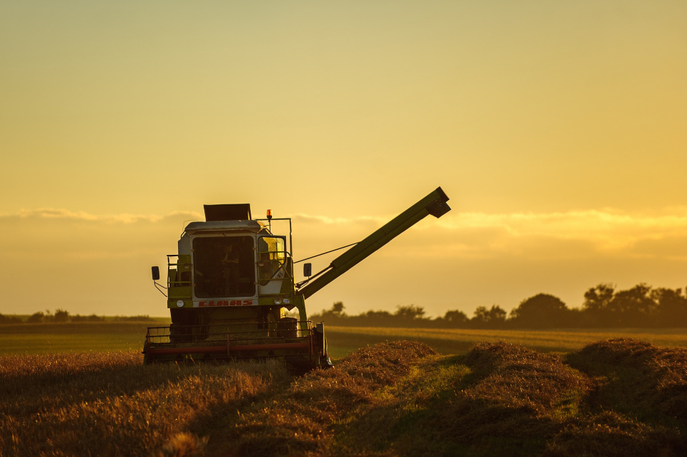 Обсяг намолоту зернових та олійних культур врожай 2023