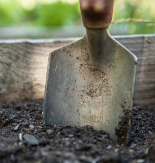 Как восстановить почву после зимы | Image by walkersalmanac from Pixabay