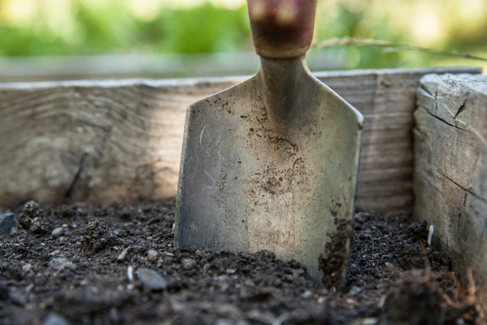 Как восстановить почву после зимы | Image by walkersalmanac from Pixabay