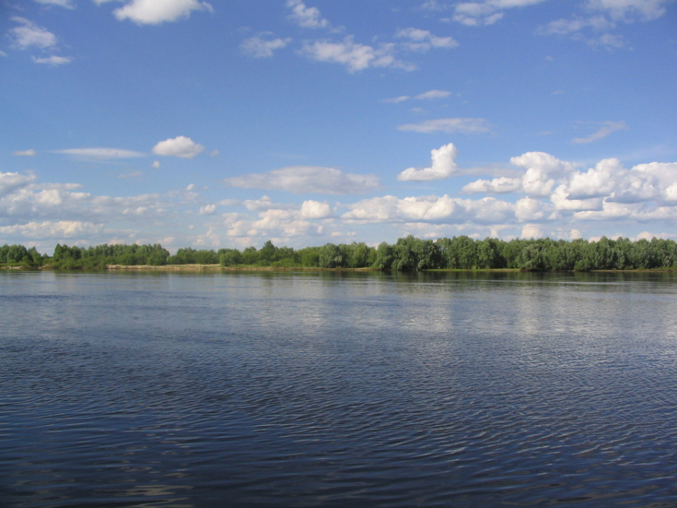 Припять — уникальная дикая река. Фото с сайта https://savepolesia.org/(© Daniel Rosengren / FZS)