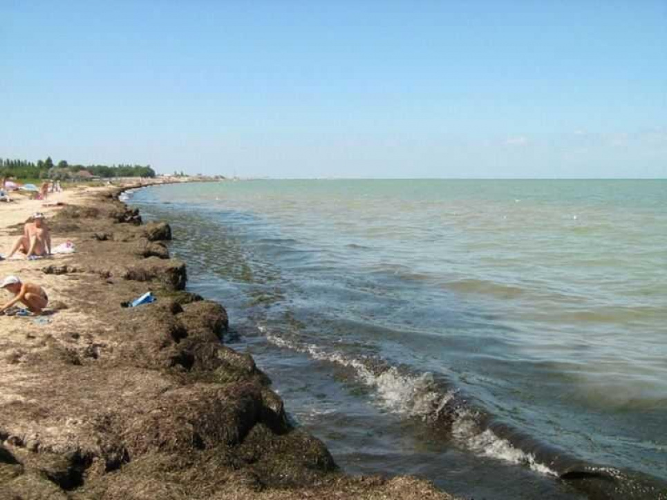 Гниль і сморід: кримські пляжі перетворюються у болото (фото) Тут і далі фото: fakty.com.ua