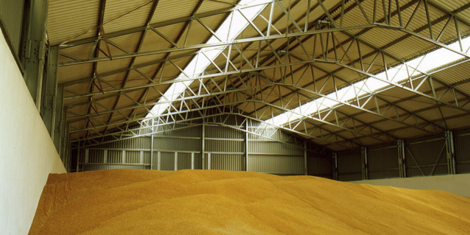 Депутат міськради продав "наліво" 11 тисяч тонн кукурудзи (фото) Фото - ангар.com