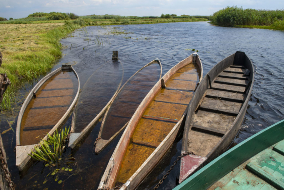 Українське Полісся. Фото з сайту https://savepolesia.org/(© Daniel Rosengren / FZS)