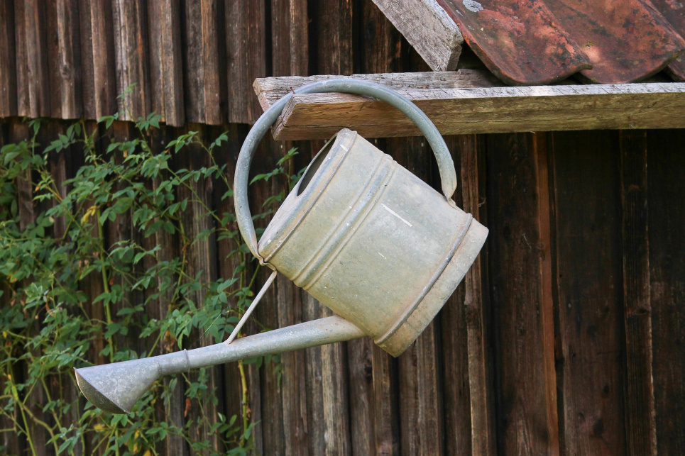 В Минсреды задумались о национальной системе орошения Image by Manfred Richter from Pixabay