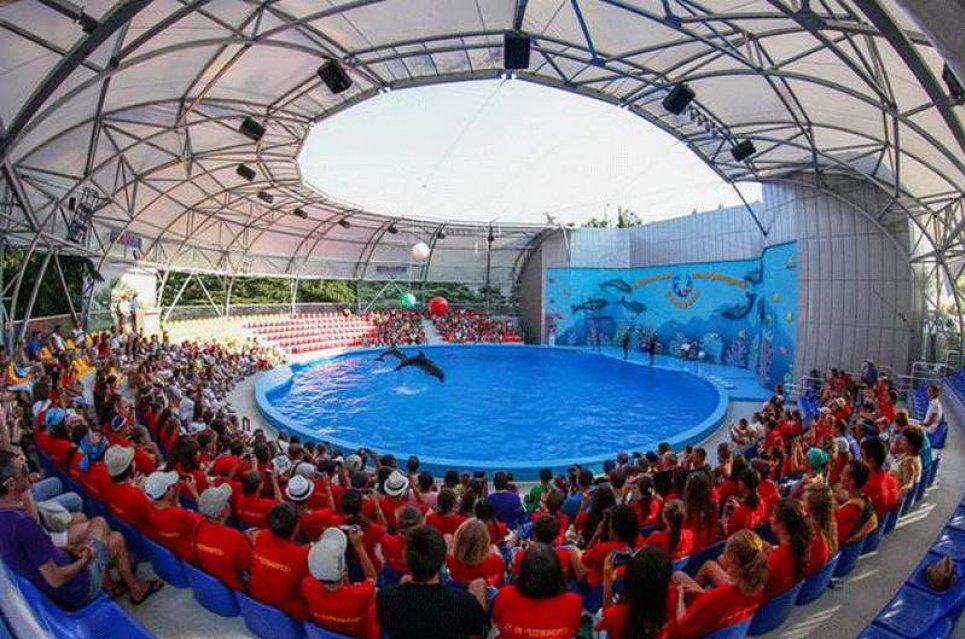 В окупованій Алушті розчленували дельфіна