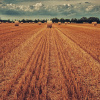 Фото иллюстративное, My pictures are CC0. When doing composings / Pixabay