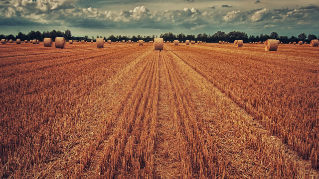 Фото ілюстративне, My pictures are CC0. When doing composings / Pixabay