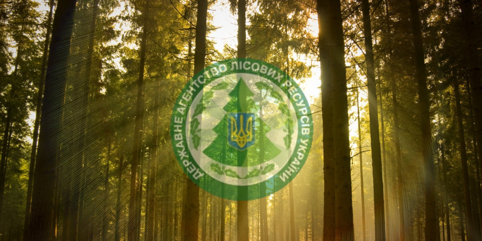 Коронавірус дістався Держлісагентства