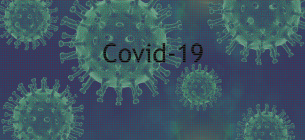 Image by Holger Langmaier from Pixabay 