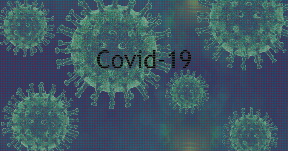 Image by Holger Langmaier from Pixabay 