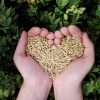 Image by Miriam Müller from Pixabay 