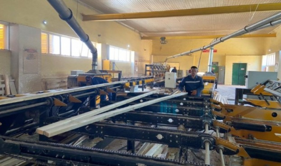 Щоб уникнути банкрутства держлісгосп створив підприємство з переробки деревини (фото)