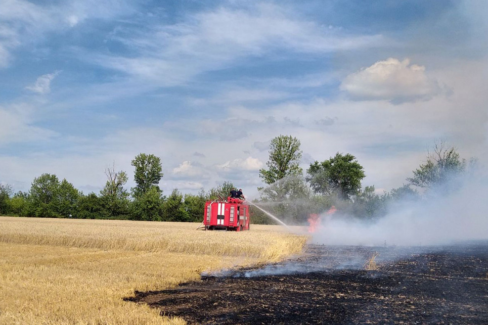 На Хмельниччині згоріло 6 га пшениці Фото: ДСНС
