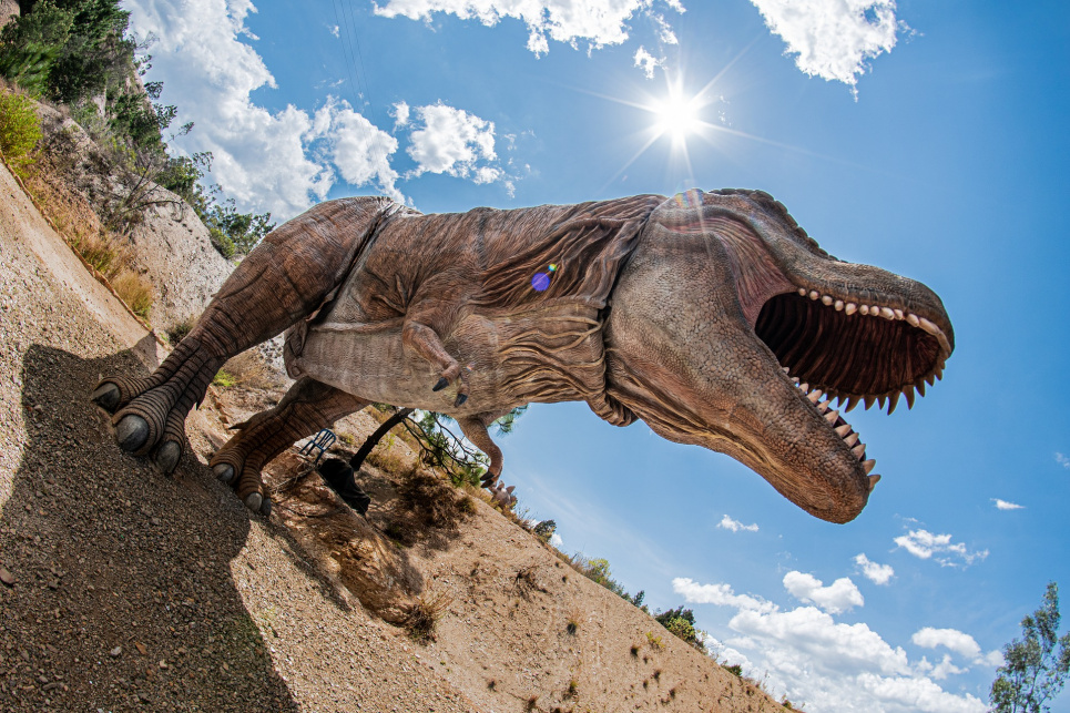 Тиранозавр. Image by German Rojas from Pixabay 