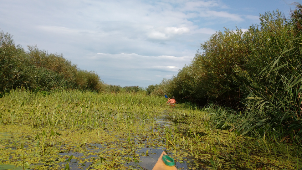 Фото русла р. Прип’ять після Вижівського водозабору. Це наслідок того, що воду забирають у Дніпро-Бузький канал. Фото Георгія Веремійчика