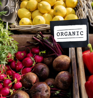 Украина увеличила экспорт органической продукции в ЕС Фото: pixabay.com