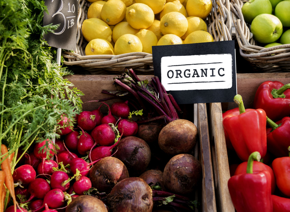 Україна збільшила експорт органічної продукції до ЄС Фото: pixabay.com