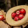 Image by 5598375 from Pixabay 