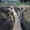 Patrick Landmann/Science Photo Library