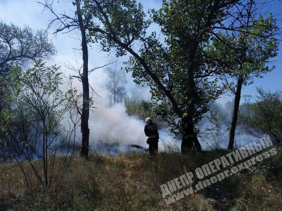 У Дніпрі відпочивальники підпалили ліс (відео, фото)