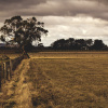 Image by Free-Photos from Pixabay 