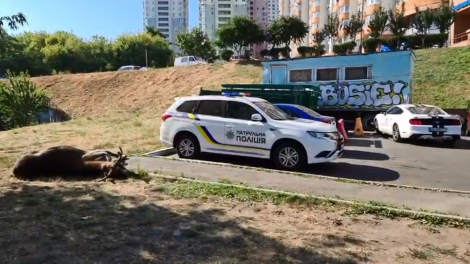 Скріншот відео журналіста Влада Антонова