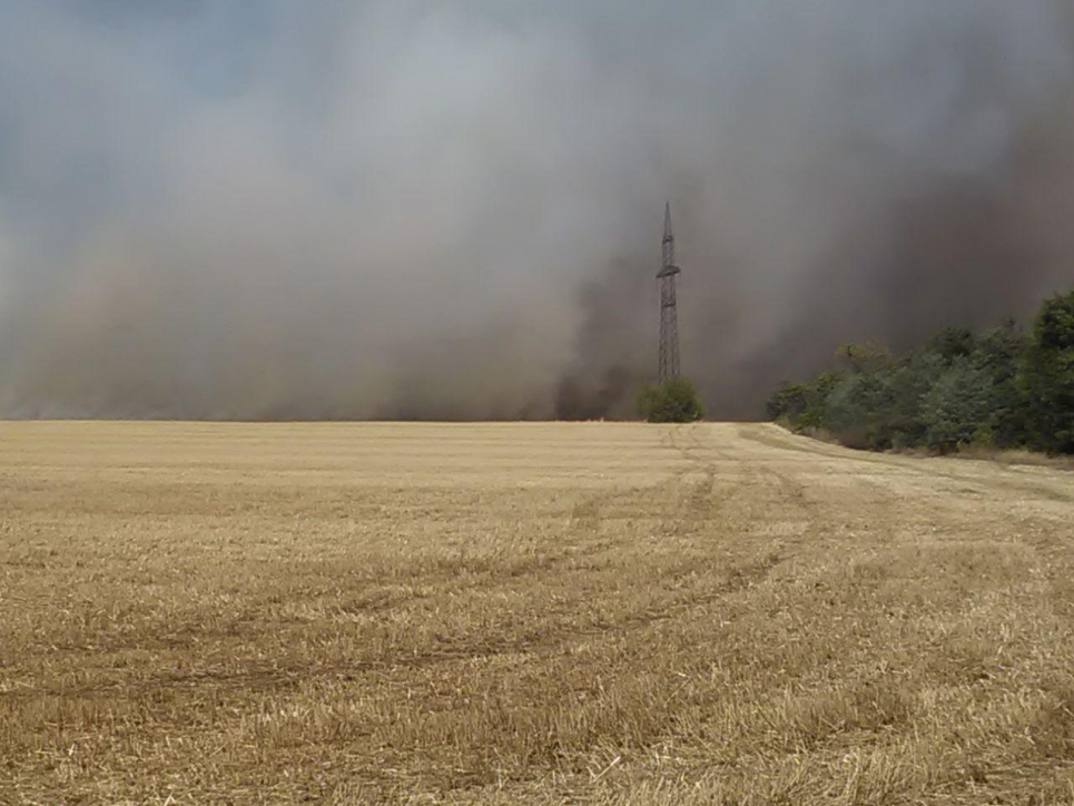 Фото: ГУ ГСЧС Украины в Донецкой области