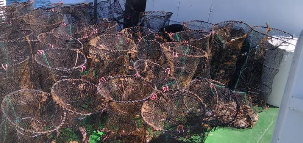 Вот это улов: браконьер наловил крабов более чем на 2,2 млн грн (видео, фото)