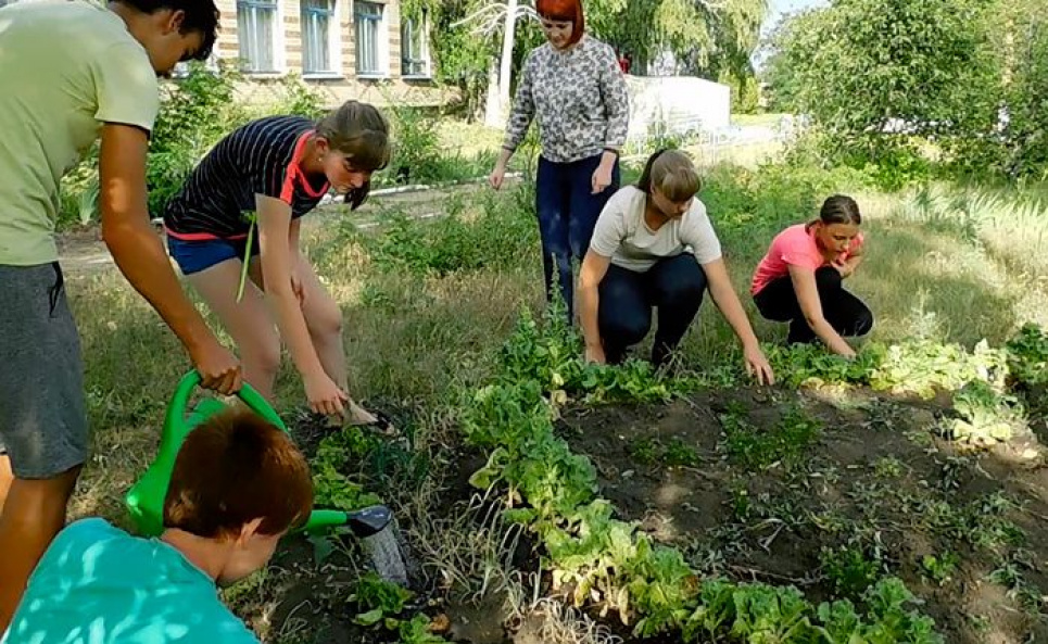 На базі школи створили міні ферму, де працюють учні (відео) Фото - ШоТам