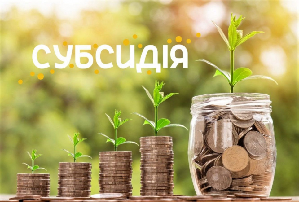 Как получить субсидию на карантине: пошаговая инструкция Фото из открытых источников