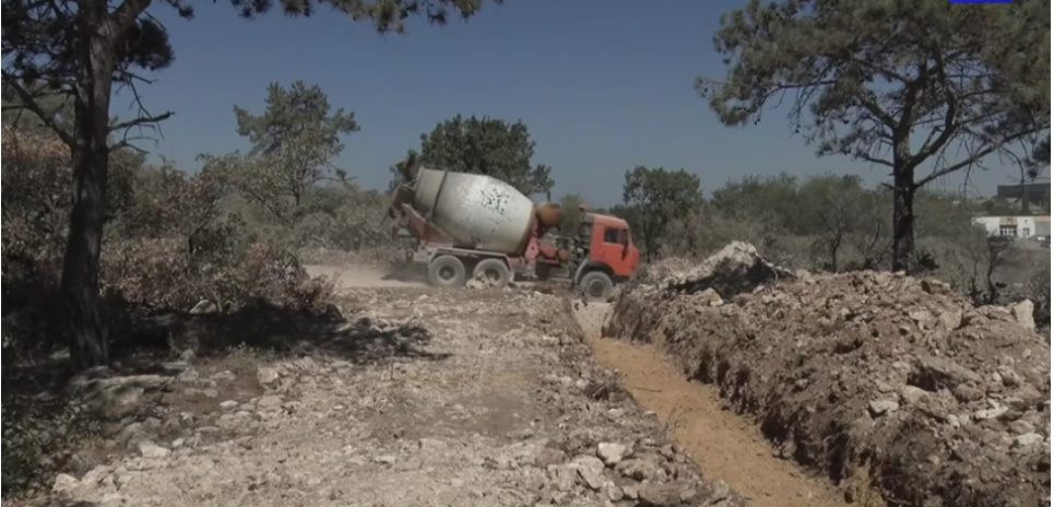 В окупованому Севастополі знищили хвойний гай (фото) Фото: Асоціація реінтеграції Криму