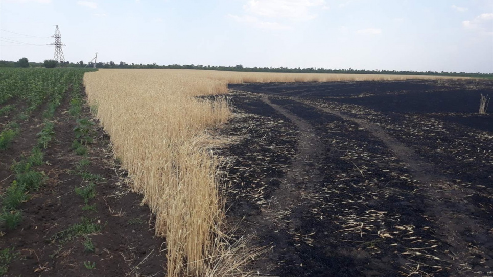 Новий врожай вбила посуха — прем’єр-міністр  Фото ілюстративне