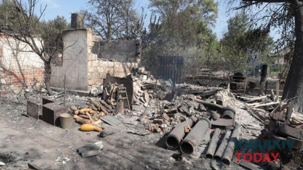 Пепел, свалки и спасенные нутрии: последствия пожара в Двуречанском районе (фото) Все фото: Харьков сегодня