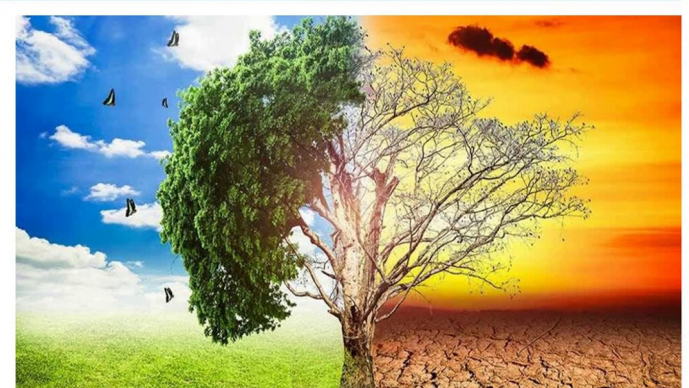 В Кабміні хочуть зупинити євроінтеграцію у сфері захисту довкілля