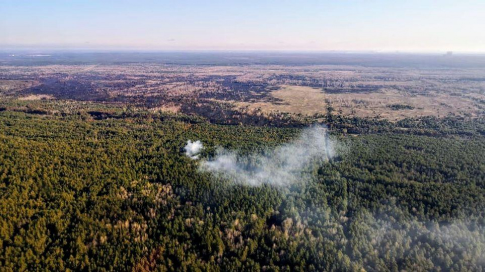 В Кабмине похвастались экологическими достижениями