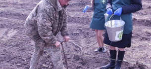Волонтери допомагають садити ліс. Фото зі сторінки Держлісагентства. Чого більше отримують від таких акцій лісоводи - допомоги чи головного болю - краще спитати безпосередньо у працівників лісгоспів 