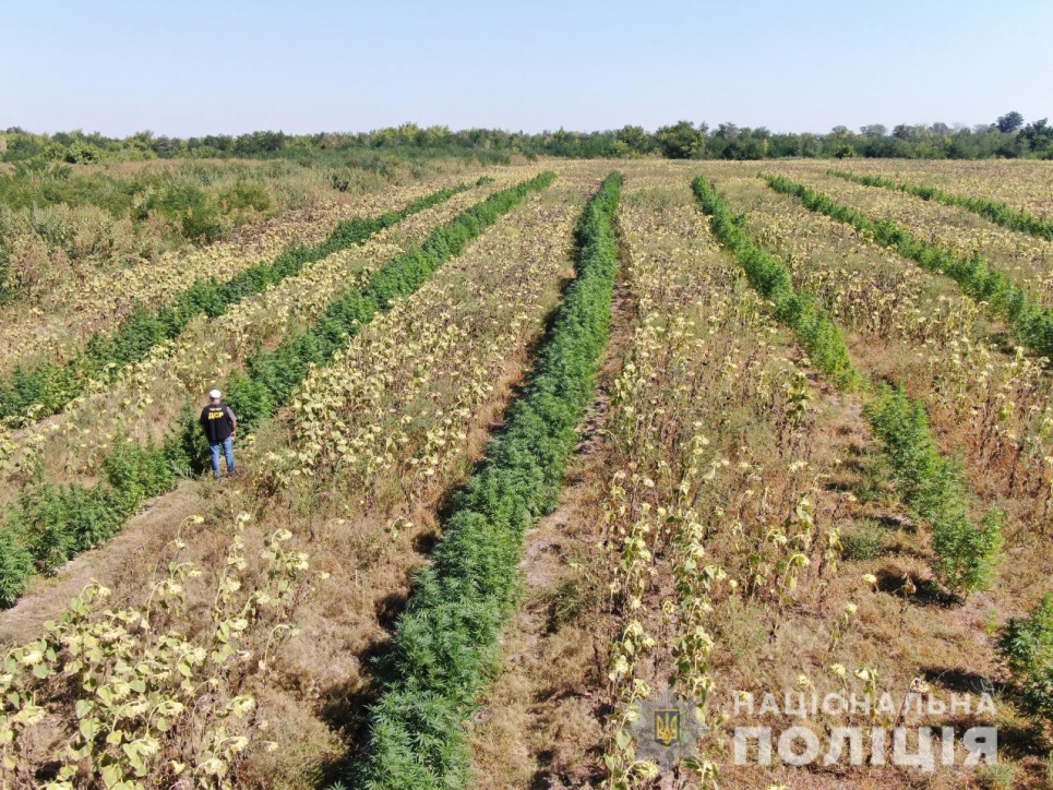 Всі фото: Нацполіція