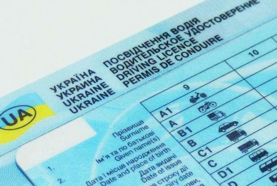 Графа "про донорство органів" у водійських правах принижує людську гідність — юристка