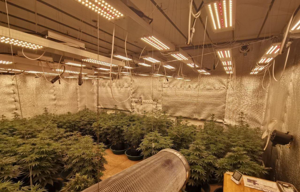 Наркоаграрій змайстрував у квартирі теплицю для вирощування коноплі Фото: Відділ комунікації поліції Дніпропетровської області